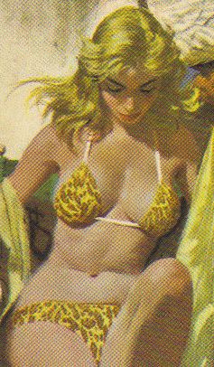 book cover boobies